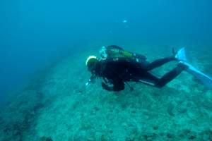 Dive on the Brijuni Islands