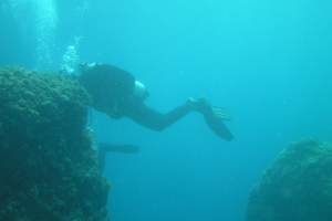 Diving centres: Morska škola Valsaline