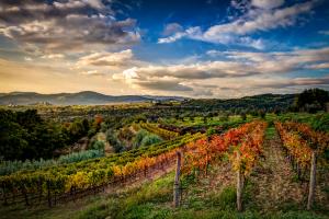 MICHELIN Guide 2026: Harry's Piccolo Poreč Becomes Istria’s Newest Star