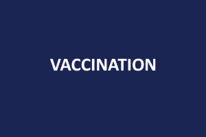 Vaccination of foreign tourists in Istria