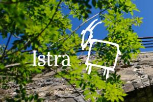 Visit Istria as a digital nomad!