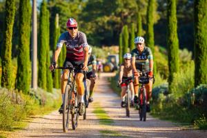 Rovinj Named Destination of the Year and Champion of Croatian Tourism