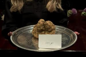 Truffle for the Guinness World Record