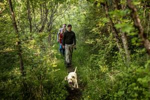 Truffle hunting and truffle products