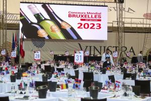 Wine Ambassadors of Concours Mondial de Bruxelles delighted with Istria