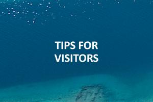 Tips for visitors staying in Istria
