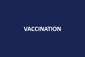 Vaccination in Istria