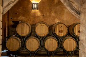 Istria and Portugal – a parallel wine masterclass