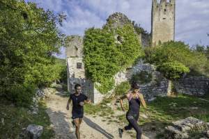 A guide to a carefree trip with a pet in South Istria