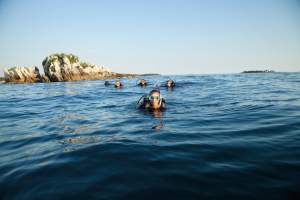 Reefs: Frižital - Santa Brigida (15)