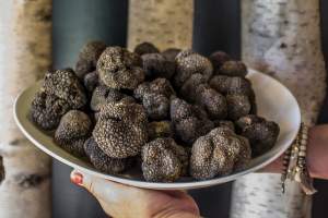 Original truffle - Tartufo vero