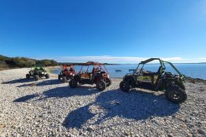 Istra Buggy Tours