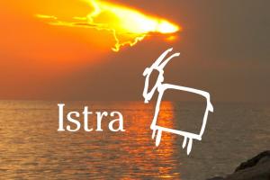 Visit Istria as a digital nomad!