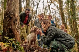 Truffle: A Culinary Masterpiece