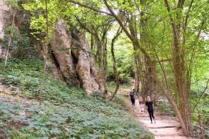Hiking trail: Walking by the ancient villas