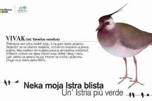 14. Kadi su tići tamo je liplje (Birds make the world more beautiful)