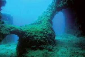 Reefs: Otok Banjol - Banjol Island (18)