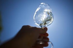 Make a reservation for Sunday, May 28th, for a visit to some of Istrian wineries