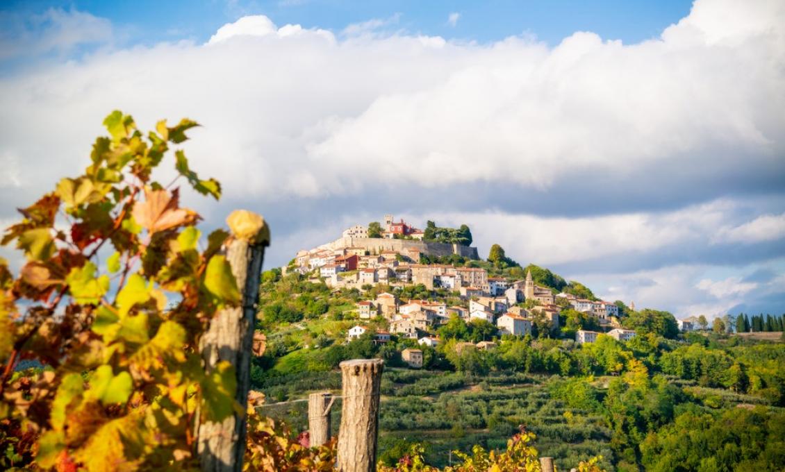 Truffle Days in Istria