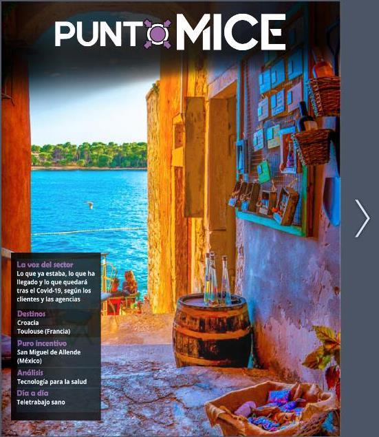 Punto Mice
