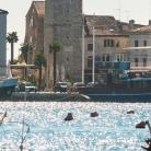 Experience Umag