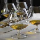 Kvaliteta ED maslinova ulja