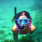 What is snorkelling?