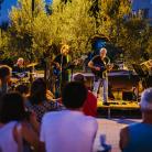 Fažanski Olivari: a Drop of Oil, a Sea of Experiences