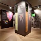 Istria Wine Museum