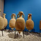 Istria Wine Museum