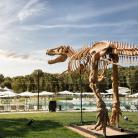 Paleo parco Mon Perin