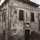 The Buzet Fontico