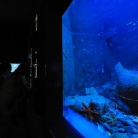 Aquarium Rovigno
