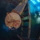 Wrecks:  Admiral ship Vis (24)